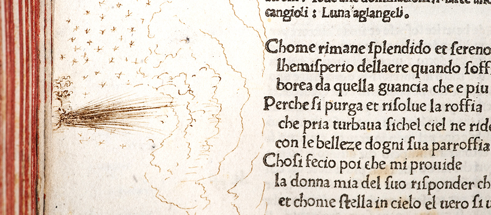 Banner con dettaglio di disegno Dante Vallicelliano